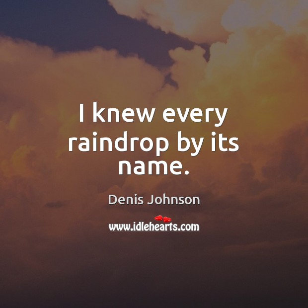 I knew every raindrop by its name. Image