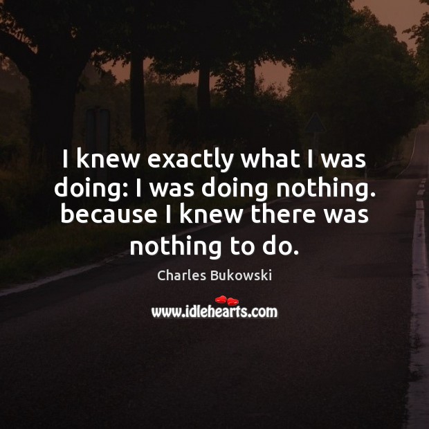 I knew exactly what I was doing: I was doing nothing. because Charles Bukowski Picture Quote