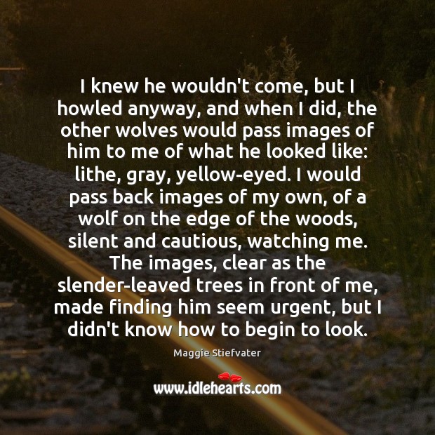 I knew he wouldn’t come, but I howled anyway, and when I Maggie Stiefvater Picture Quote