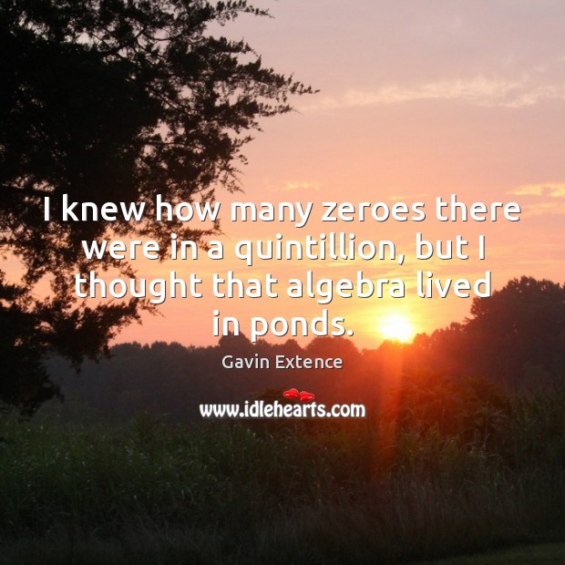 I knew how many zeroes there were in a quintillion, but I Gavin Extence Picture Quote