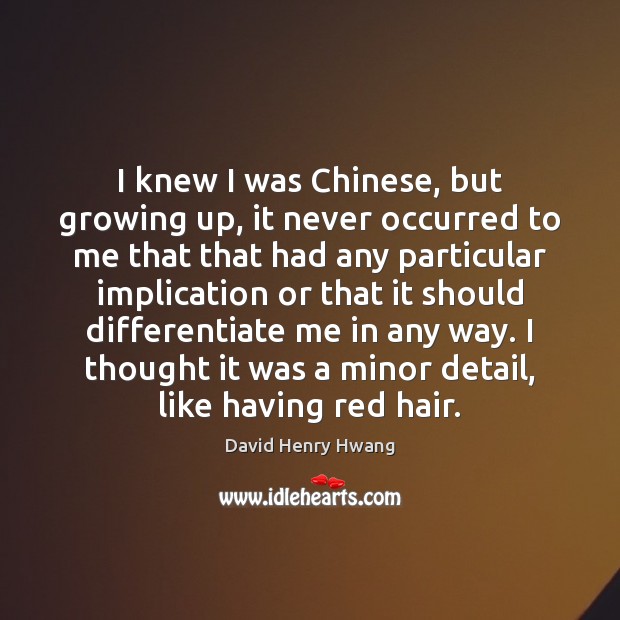 I knew I was Chinese, but growing up, it never occurred to David Henry Hwang Picture Quote