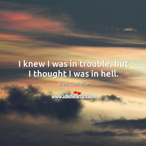 I knew I was in trouble, but I thought I was in hell. Elvis Costello Picture Quote