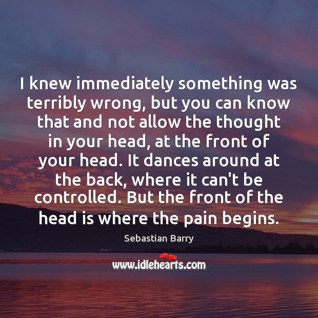 I knew immediately something was terribly wrong, but you can know that Sebastian Barry Picture Quote