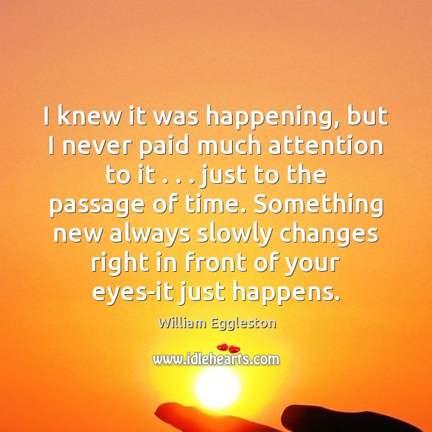 I knew it was happening, but I never paid much attention to William Eggleston Picture Quote