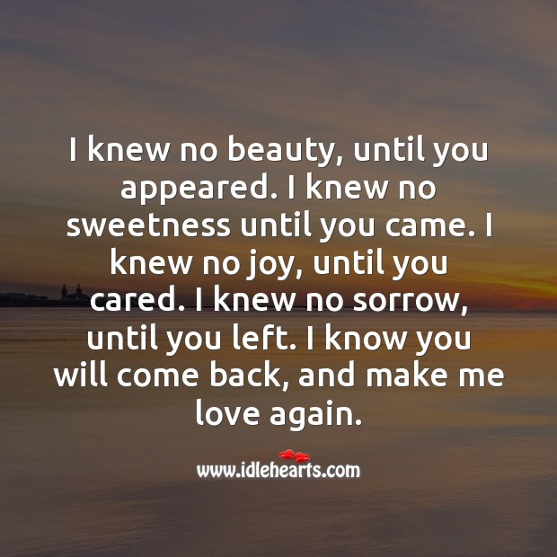 I knew no beauty, until you appeared. Love Messages Image