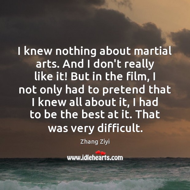 I knew nothing about martial arts. And I don’t really like it! Zhang Ziyi Picture Quote