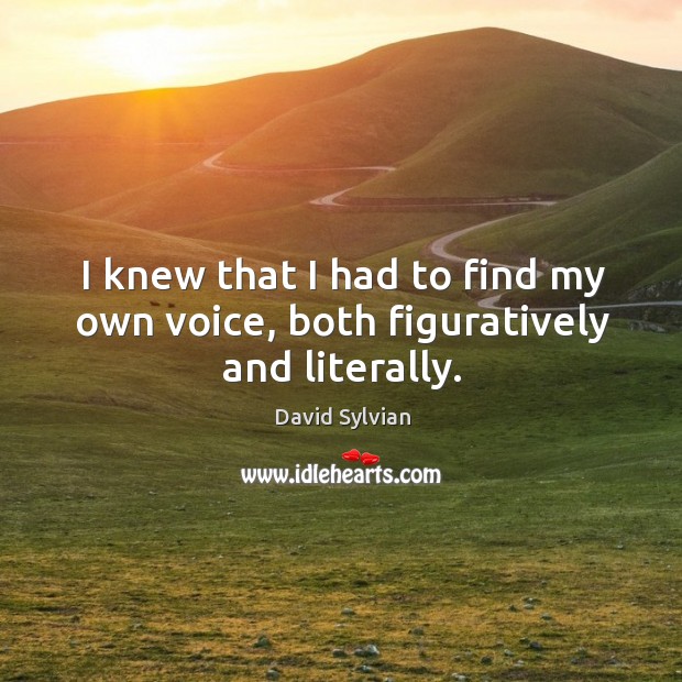 I knew that I had to find my own voice, both figuratively and literally. David Sylvian Picture Quote