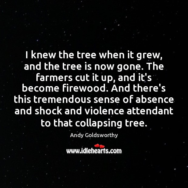 I knew the tree when it grew, and the tree is now Andy Goldsworthy Picture Quote