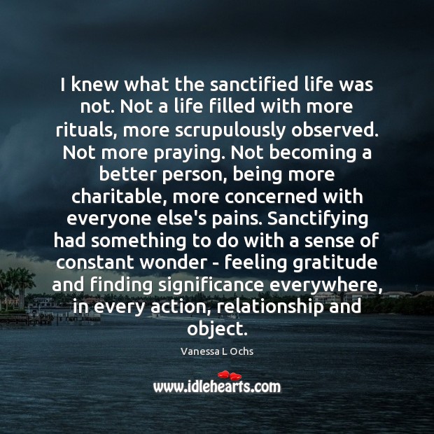 I knew what the sanctified life was not. Not a life filled Vanessa L Ochs Picture Quote