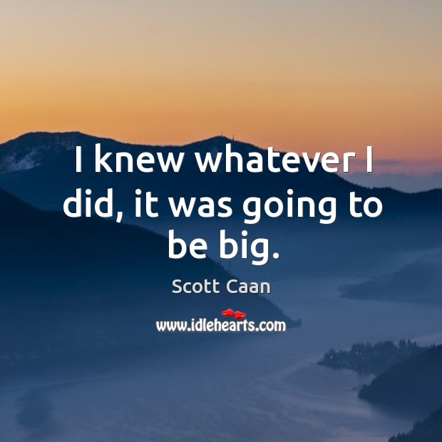 I knew whatever I did, it was going to be big. Scott Caan Picture Quote
