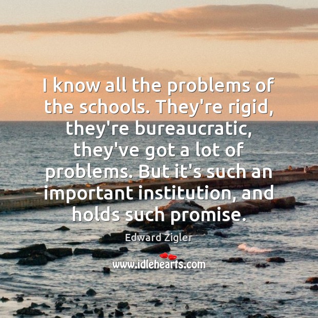 I know all the problems of the schools. They’re rigid, they’re bureaucratic, Promise Quotes Image