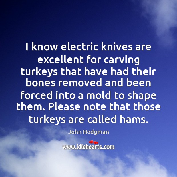 I know electric knives are excellent for carving turkeys that have had John Hodgman Picture Quote