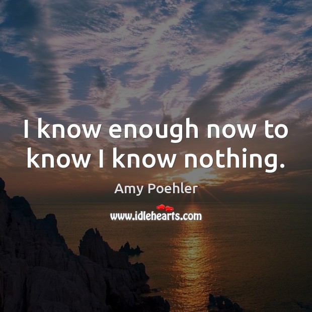 I know enough now to know I know nothing. Amy Poehler Picture Quote