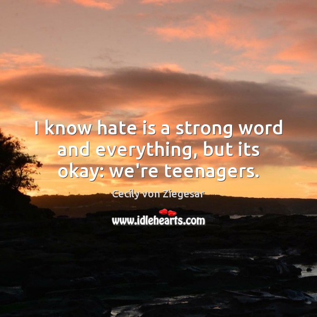 I know hate is a strong word and everything, but its okay: we’re teenagers. Image