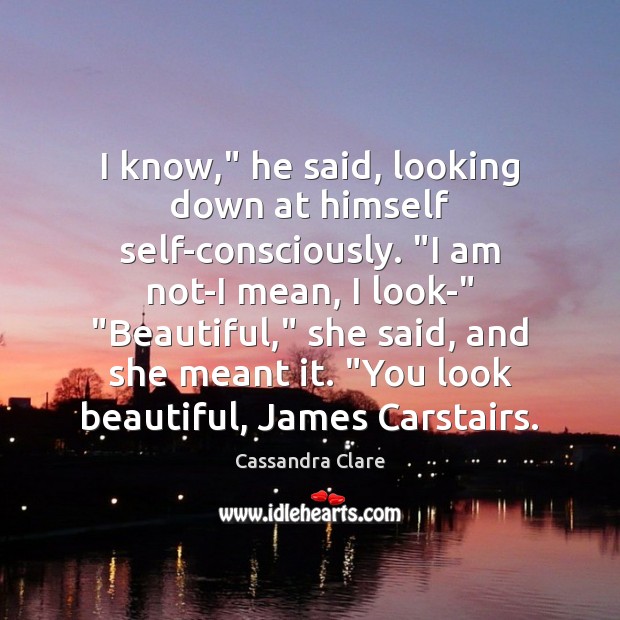 I know,” he said, looking down at himself self-consciously. “I am not-I Cassandra Clare Picture Quote