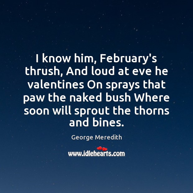 I know him, February’s thrush, And loud at eve he valentines On 
