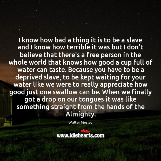 I know how bad a thing it is to be a slave Walter Mosley Picture Quote