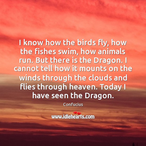 I know how the birds fly, how the fishes swim, how animals Image