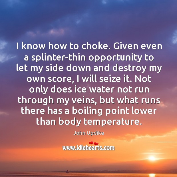 I know how to choke. Given even a splinter-thin opportunity to let John Updike Picture Quote