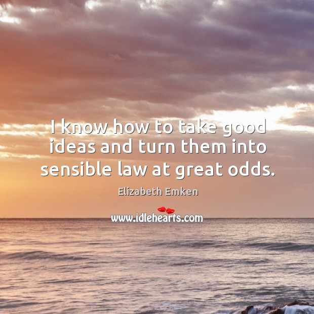 I know how to take good ideas and turn them into sensible law at great odds. Image