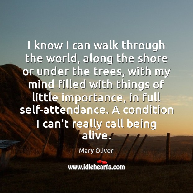 I know I can walk through the world, along the shore or Mary Oliver Picture Quote