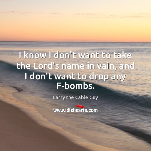 I know I don’t want to take the Lord’s name in vain, and I don’t want to drop any F-bombs. Larry the Cable Guy Picture Quote