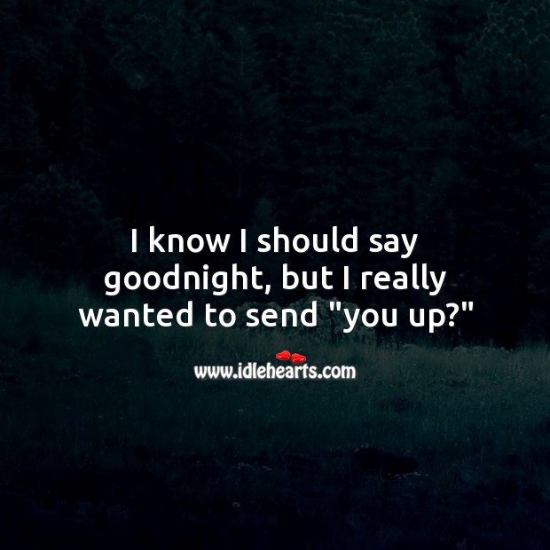 I know I should say goodnight, but I really wanted to send “you up?” Good Night Quotes Image