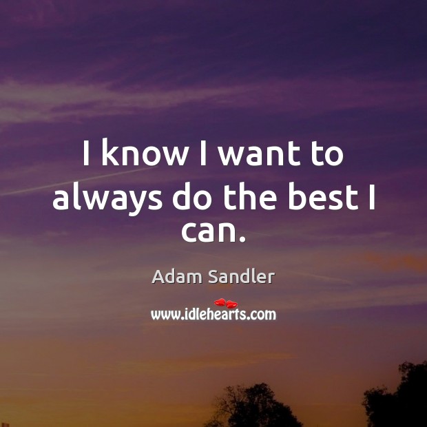 I know I want to always do the best I can. Adam Sandler Picture Quote