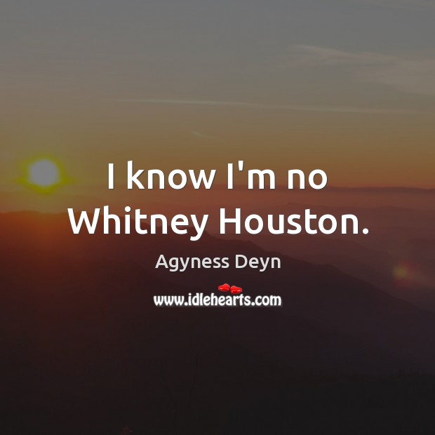 I know I’m no Whitney Houston. Agyness Deyn Picture Quote