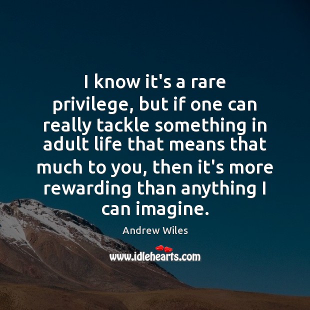 I know it’s a rare privilege, but if one can really tackle Andrew Wiles Picture Quote