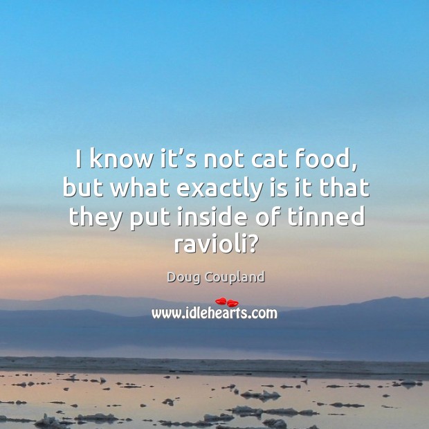 I know it’s not cat food, but what exactly is it that they put inside of tinned ravioli? Doug Coupland Picture Quote