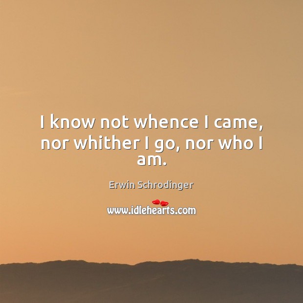 I know not whence I came, nor whither I go, nor who I am. Erwin Schrodinger Picture Quote