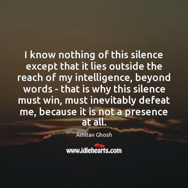 I know nothing of this silence except that it lies outside the Image