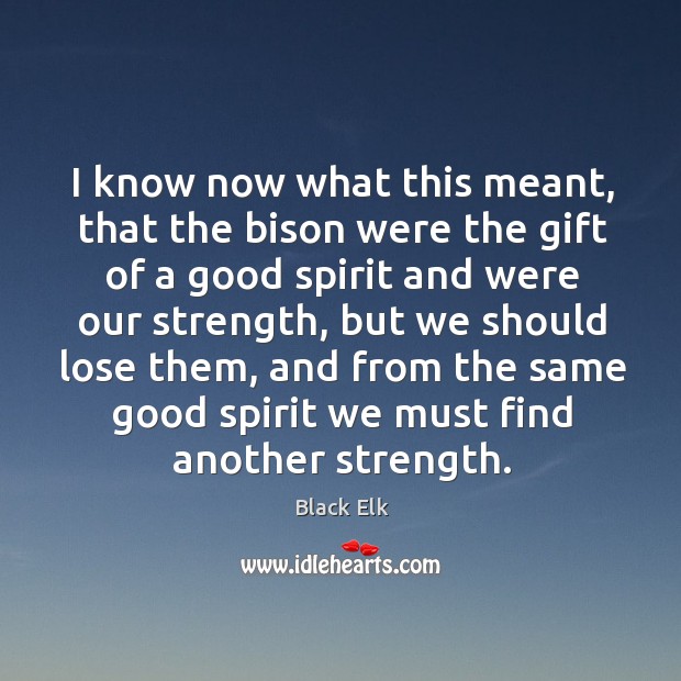 I know now what this meant, that the bison were the gift of a good spirit and were our strength Image