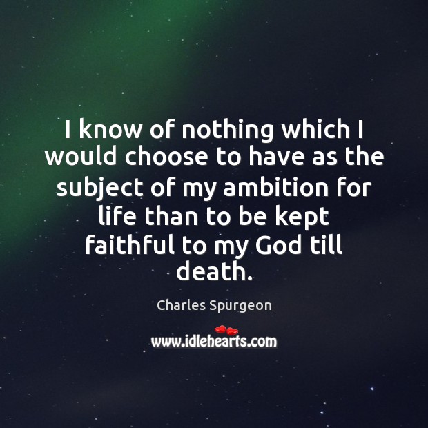 I know of nothing which I would choose to have as the Faithful Quotes Image