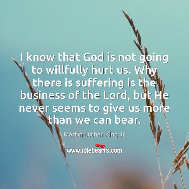I know that God is not going to willfully hurt us. Why Image