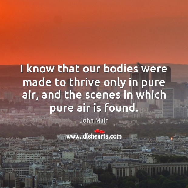 I know that our bodies were made to thrive only in pure John Muir Picture Quote