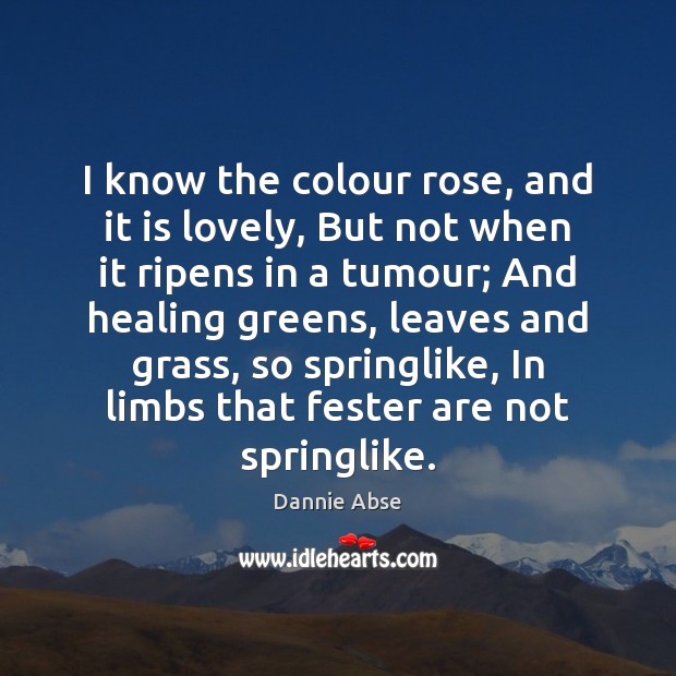 I know the colour rose, and it is lovely, But not when Dannie Abse Picture Quote