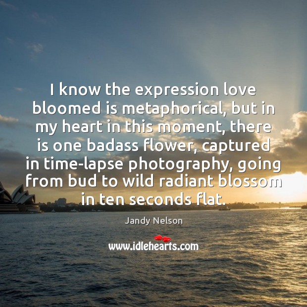 I know the expression love bloomed is metaphorical, but in my heart Image