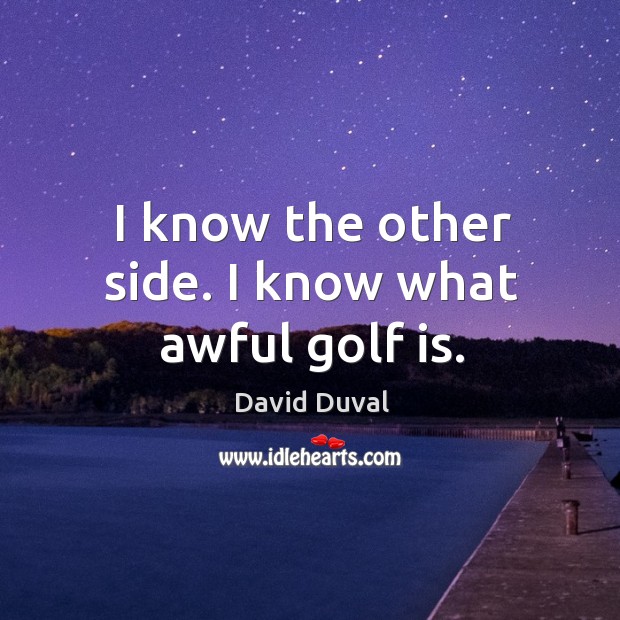I know the other side. I know what awful golf is. David Duval Picture Quote