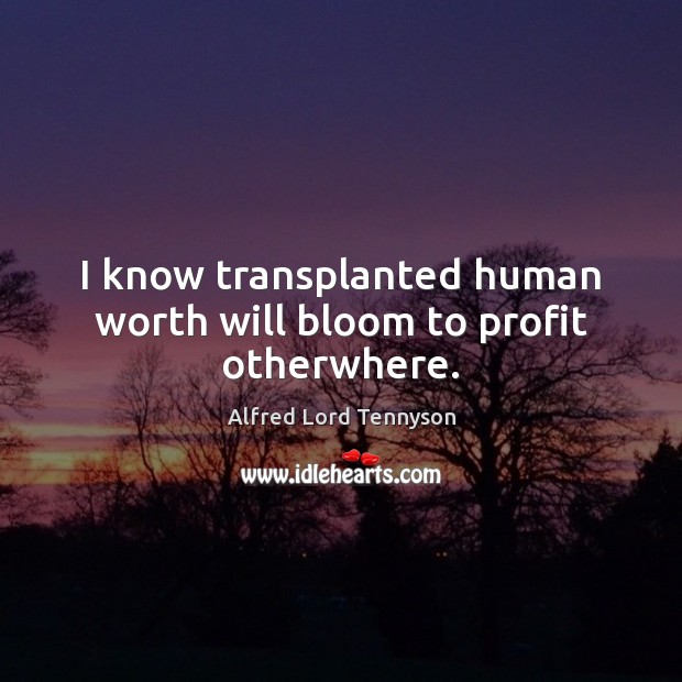 I know transplanted human worth will bloom to profit otherwhere. Alfred Lord Tennyson Picture Quote
