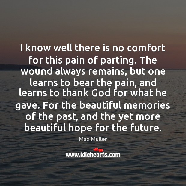 I know well there is no comfort for this pain of parting. Max Muller Picture Quote