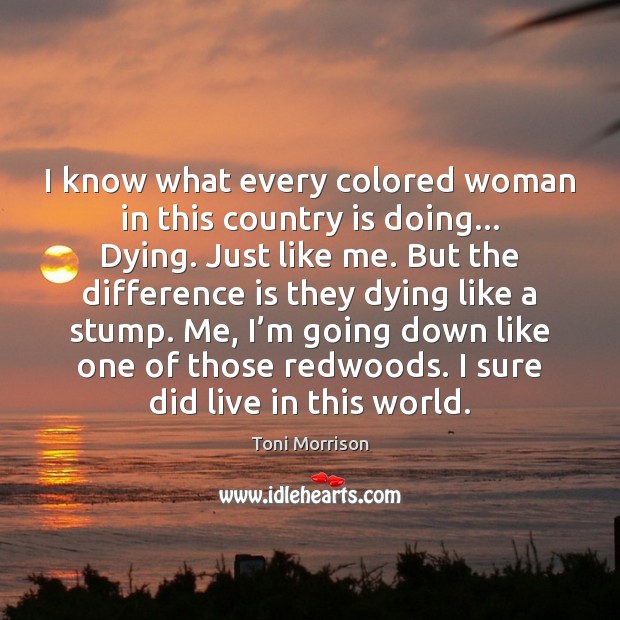 I know what every colored woman in this country is doing… Dying. Toni Morrison Picture Quote