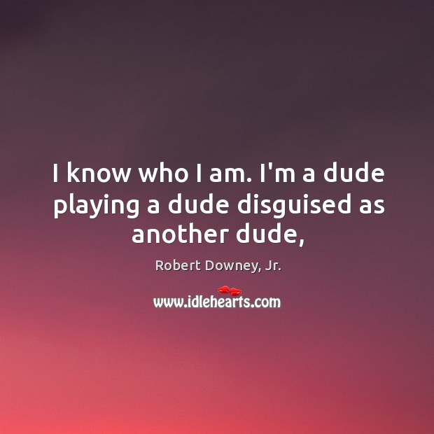 I know who I am. I’m a dude playing a dude disguised as another dude, Image