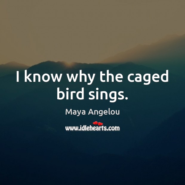 I know why the caged bird sings. Maya Angelou Picture Quote