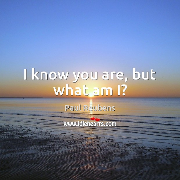 I know you are, but what am I? Paul Reubens Picture Quote