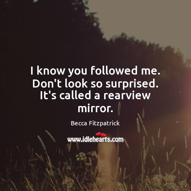 I know you followed me. Don’t look so surprised. It’s called a rearview mirror. Becca Fitzpatrick Picture Quote