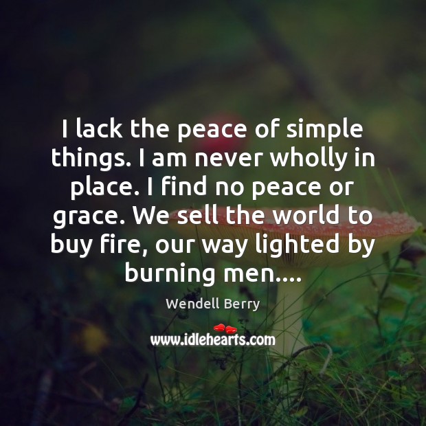 I lack the peace of simple things. I am never wholly in Wendell Berry Picture Quote