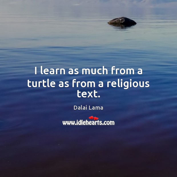 I learn as much from a turtle as from a religious text. Dalai Lama Picture Quote