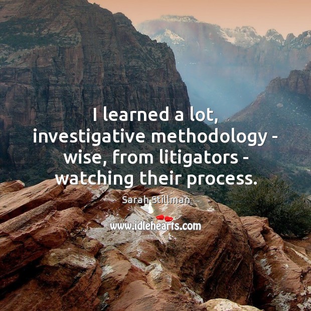 I learned a lot, investigative methodology – wise, from litigators – watching Sarah Stillman Picture Quote